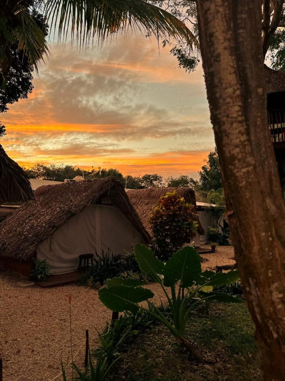El Buho Bacalar Eco-Cabanas Hostal Exterior foto